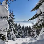 Janosik - Janosik Komfort - Z Kominkiem Na Wylacznosc Na Ogrodzonej Dzialce, Akceptujemy Psy Dağ evi *
